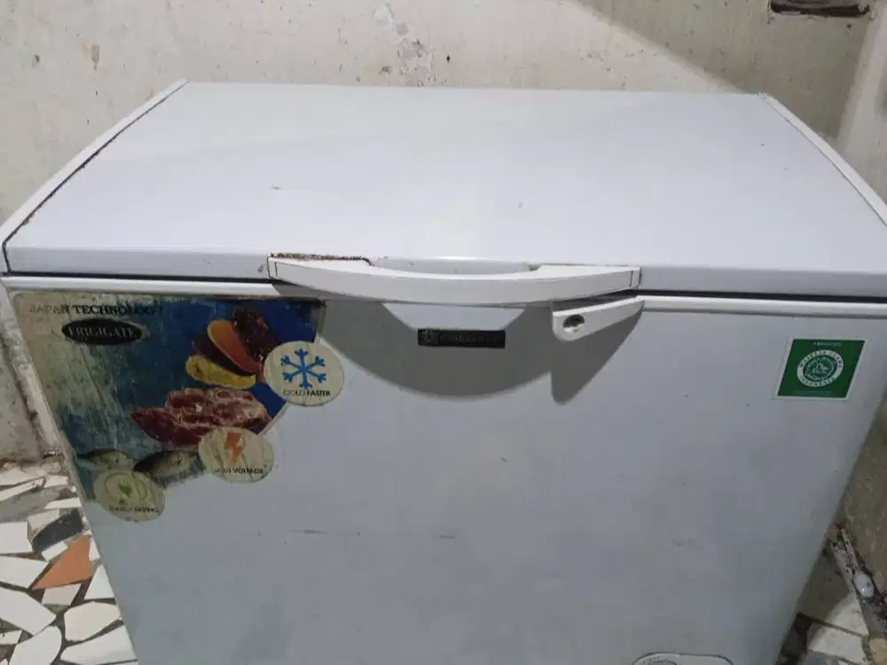 Freezer Frigigate 300 liter