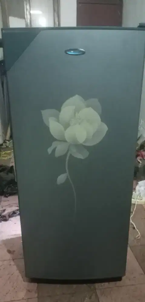 Politron belesa kumplit orian jumbo