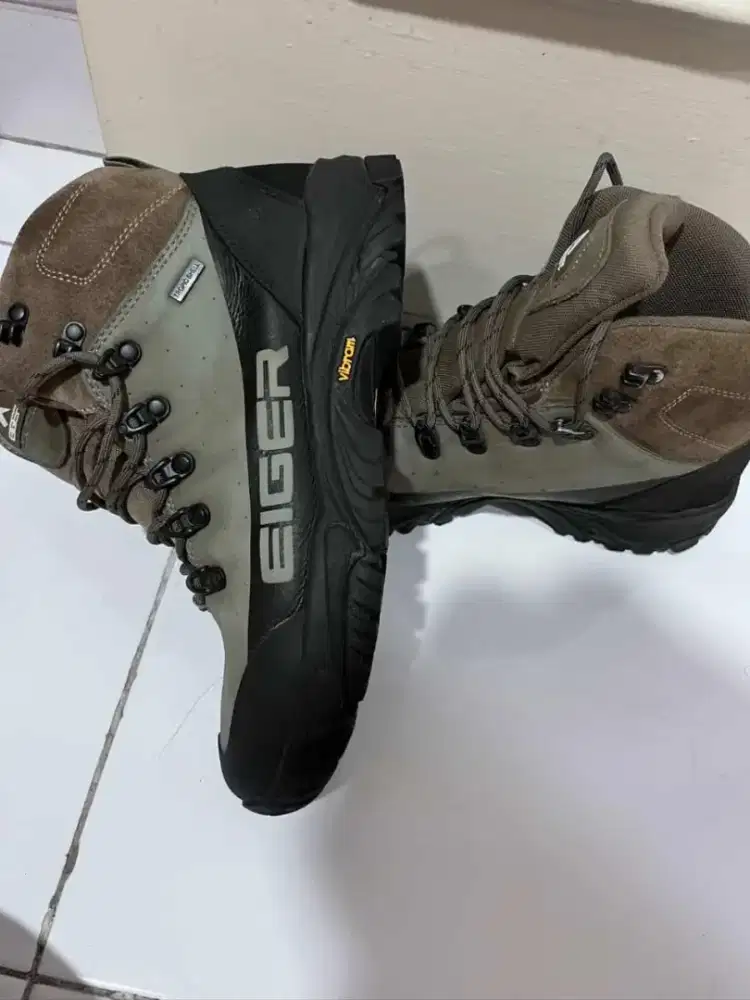 Eiger Eagle plum 2.0