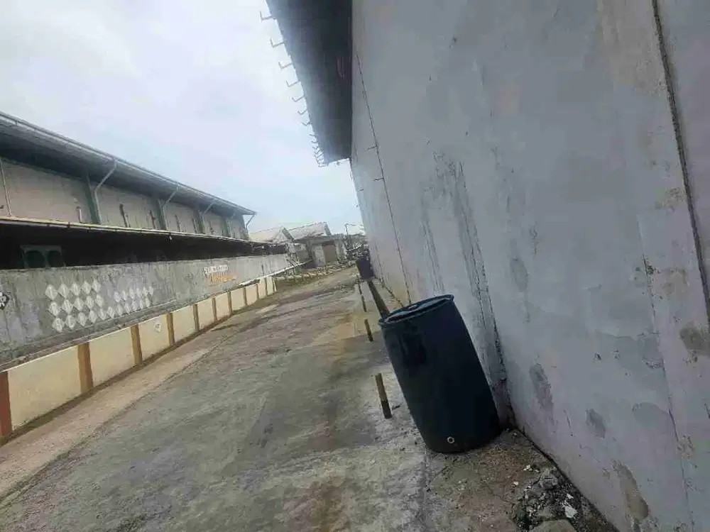 disewakan gudang kapuk Kamal 720m2