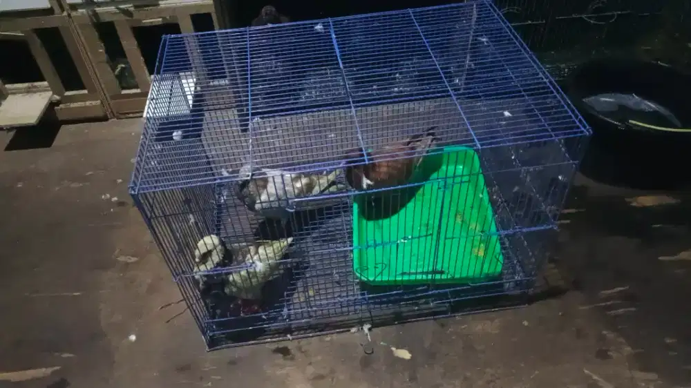 Kandang besi biru nomer 1 baru pake sebentar masih mulus gaada tatakan