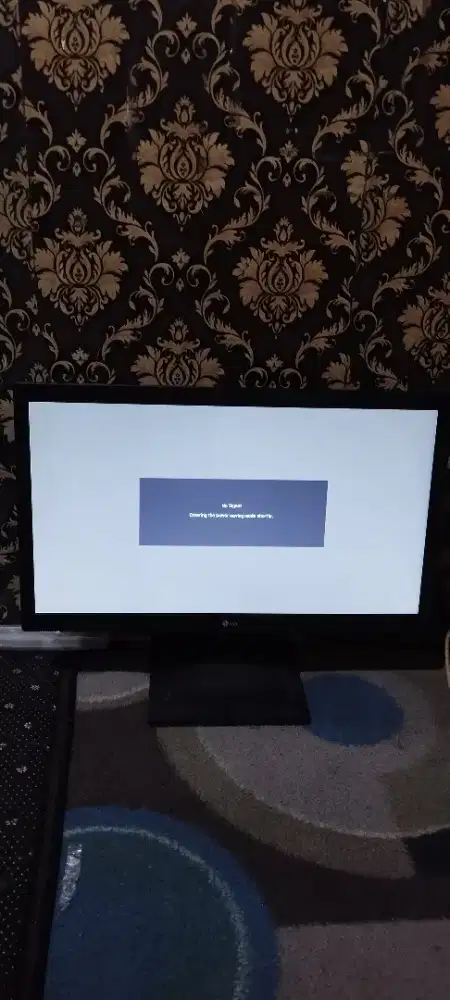 Led Monitor 20 Merk LG