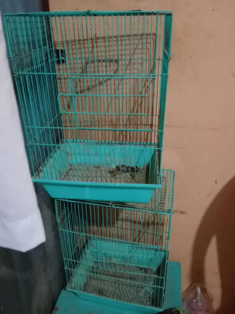 Kandang Hamster atau Sugar Glider