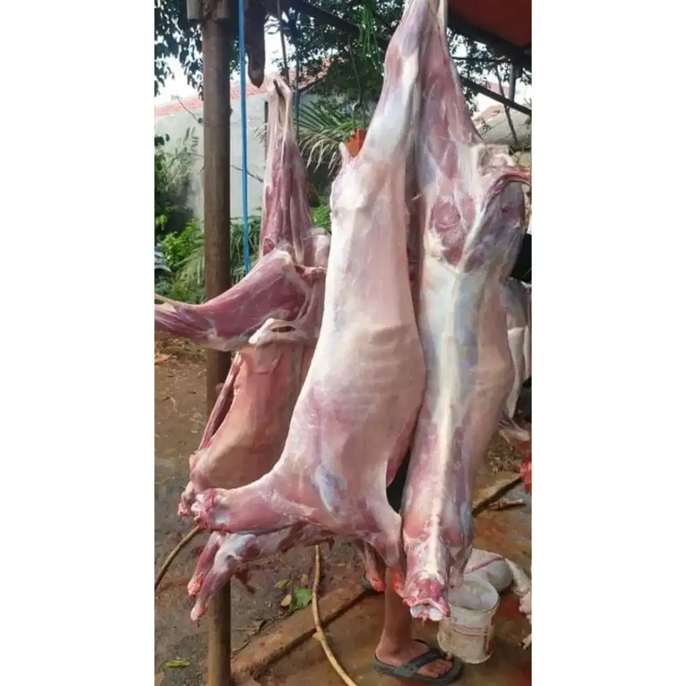Karkas Kambing / Kepala kaki kambing