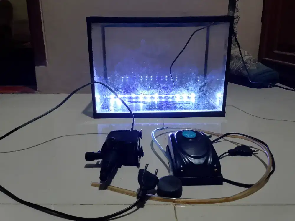 Aquarium & semua perlengkapannya