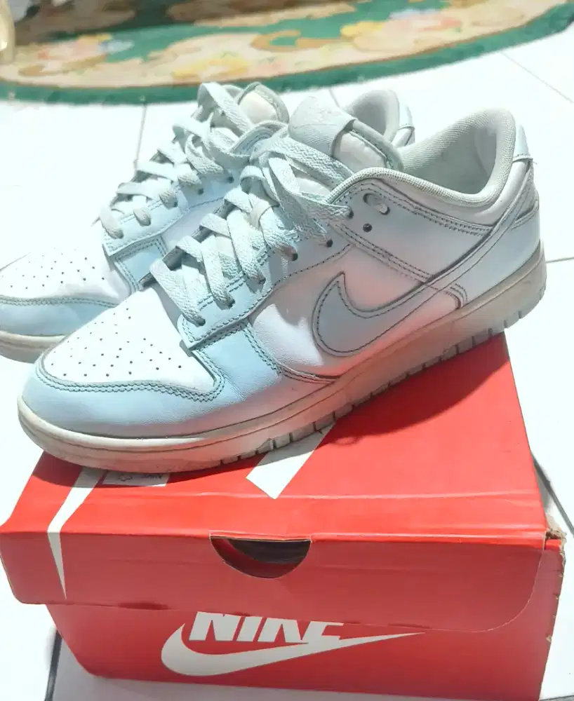 Dunk Low Nature Active 43 Ori