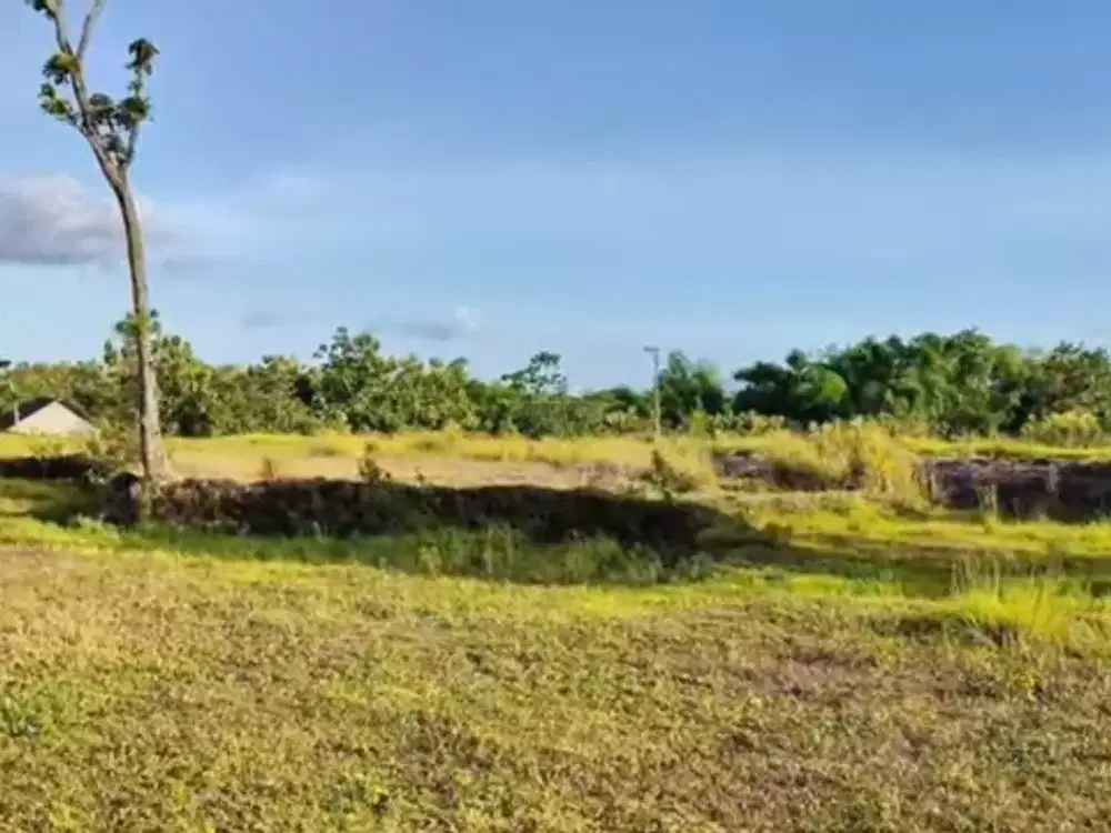 Tanah Datar View Merapi