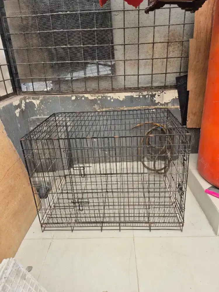 Dijual kandang anjing kucing