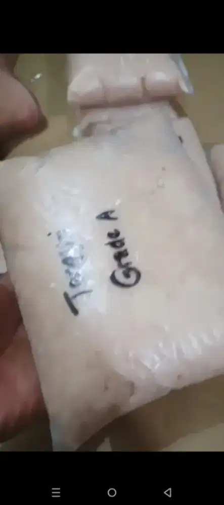 Ikan tenggiri grade A