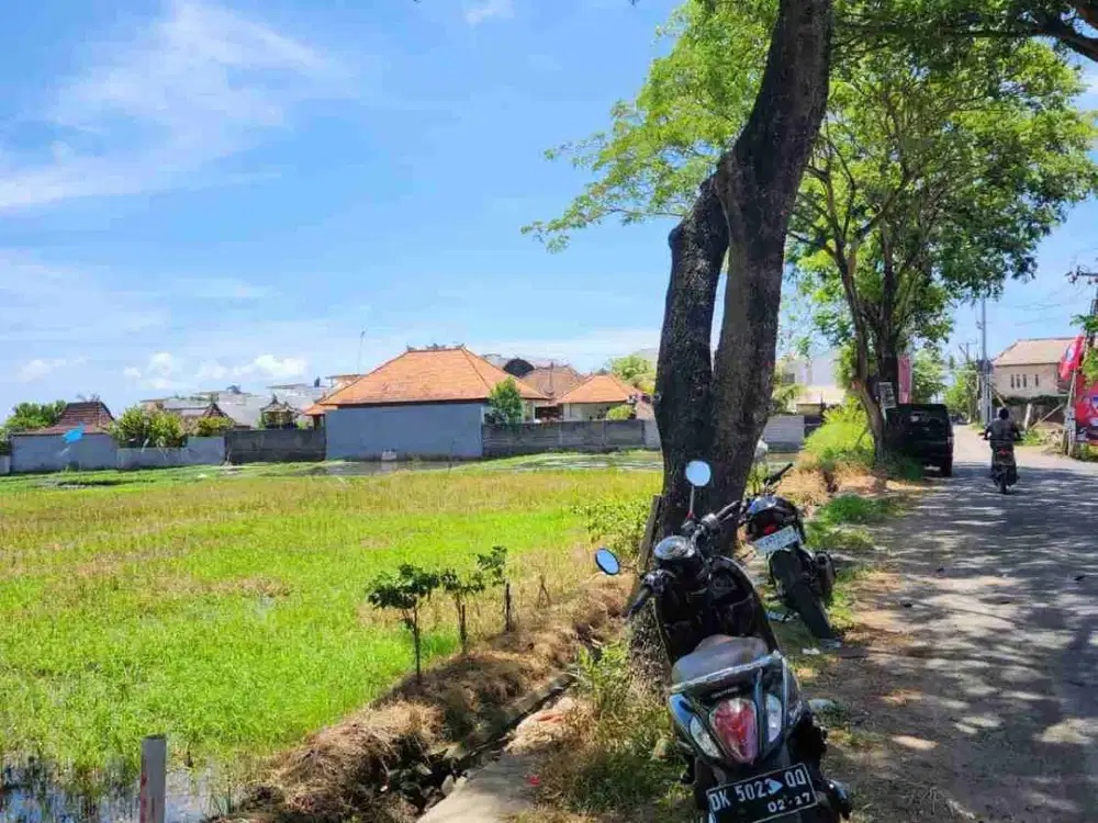 Di sewakan tanah pinggir jalan raya dekat pantai seseh sangat cocok untuk hotel, villa dan restoran
