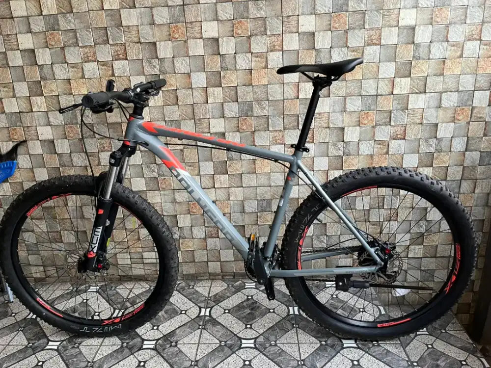 Sepeda polygon premier 4  ( 2024 ) size L