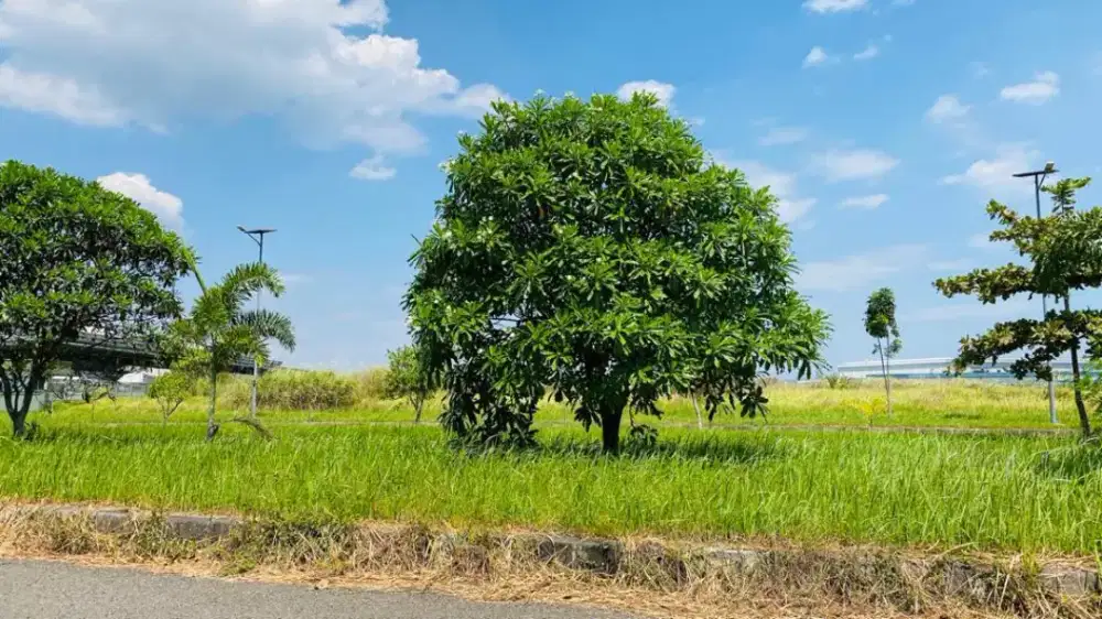 Di jual tanah di kawasan industri Surya cipta Karawang  (ynl)
