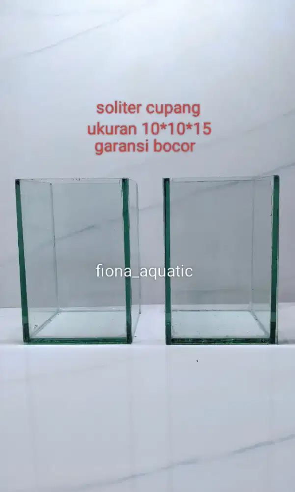 Aquarium atau soliter cupang chana guppy