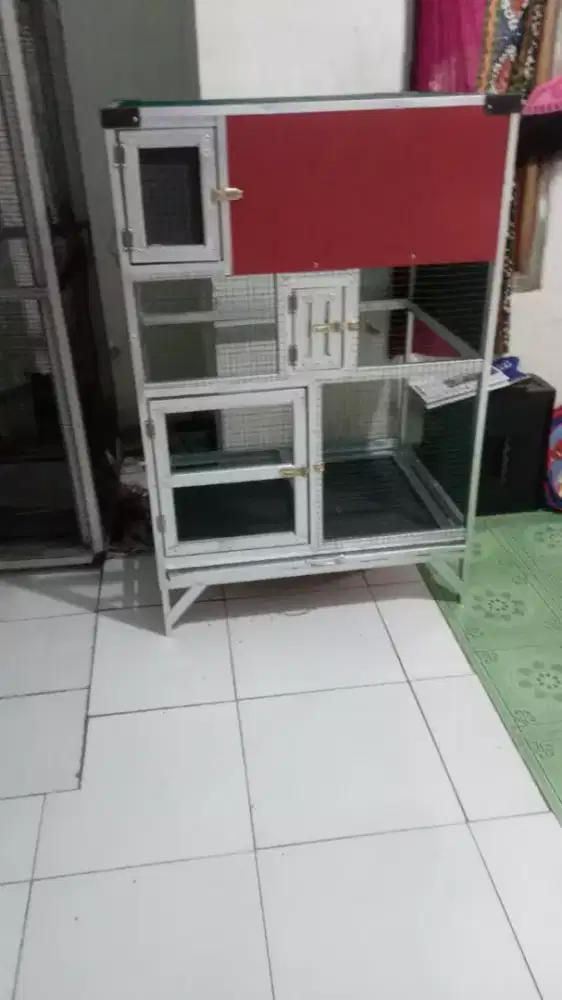 Kndng ternak murai,ijo,Kacer Danl lain lain