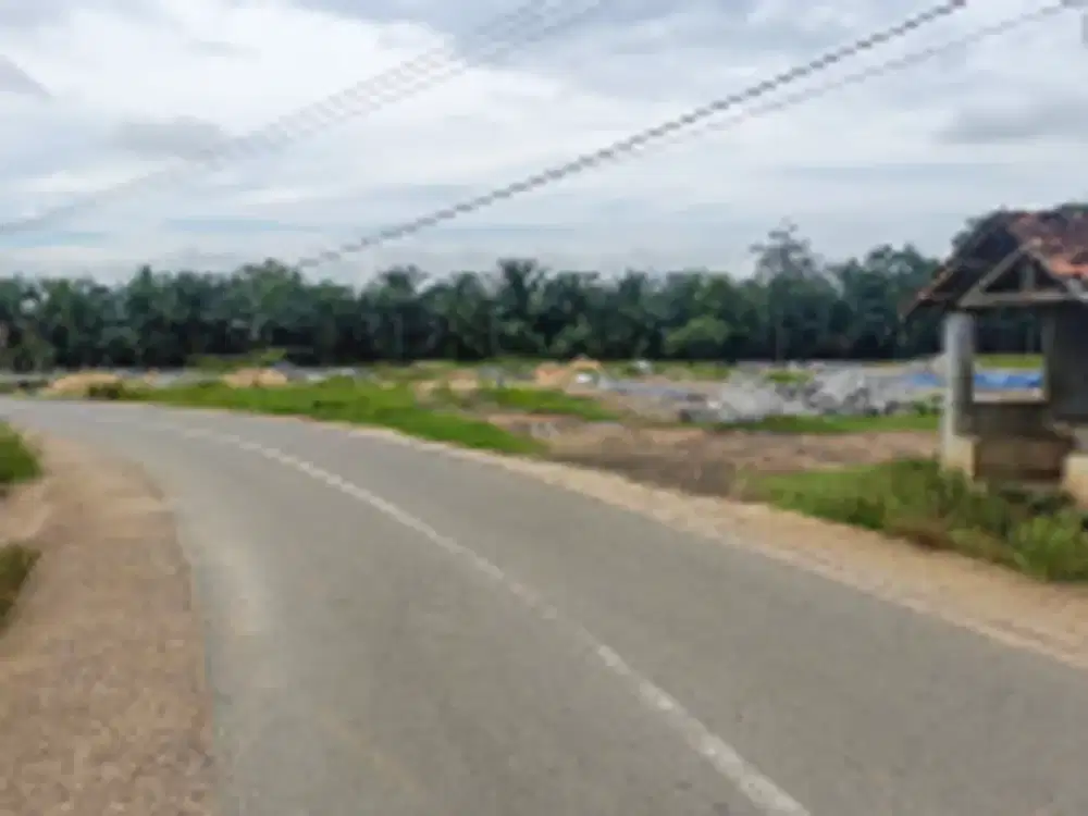 DIJUAL 1 BIDANG TANAH DENGAN TOTAL LUAS 17.000 m2 - LAMPUNG UTARA