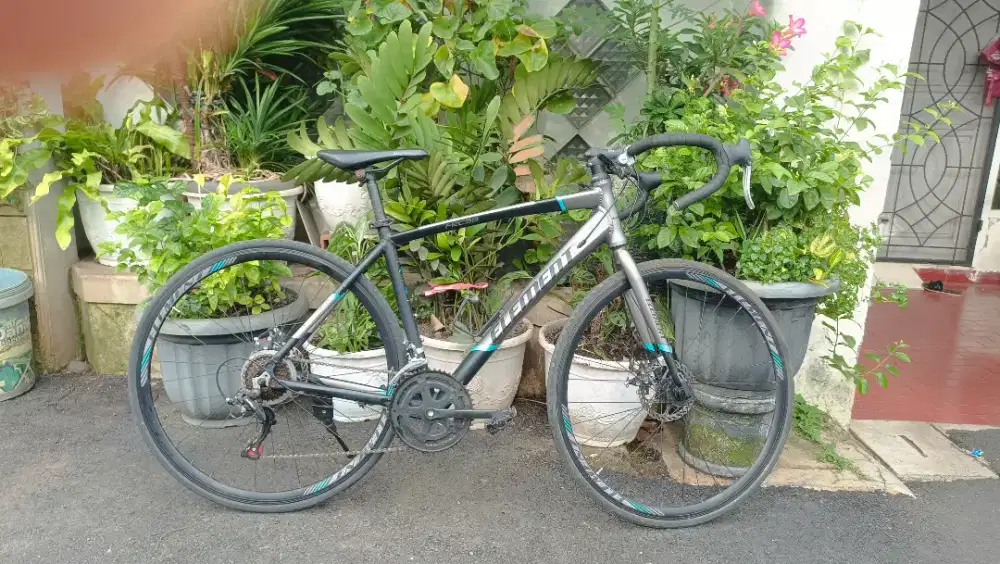 Roadbike Element FRC 38 700 C