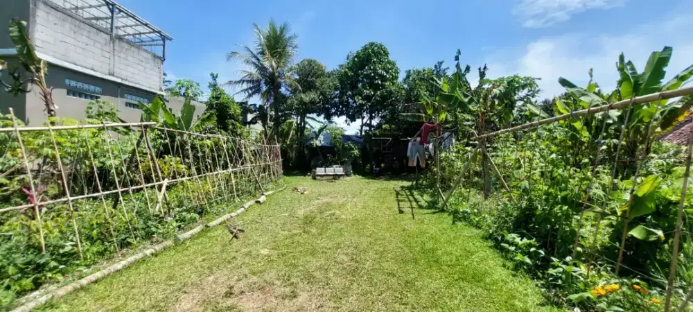 Tanah strategis pinggir jalan dengan nuansa pedesaan