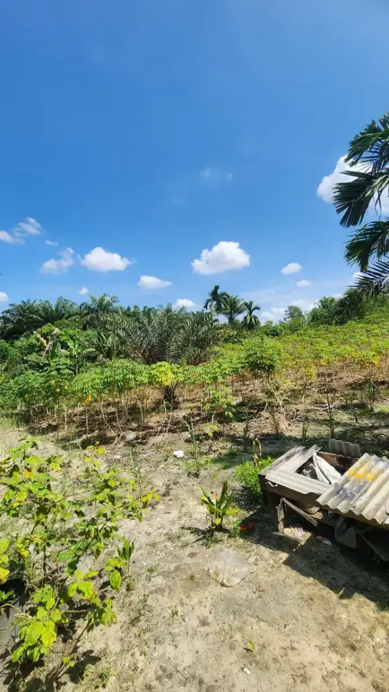 Tanah di Jual daerah Jalan Mandiri Kayangan Duri Mandau