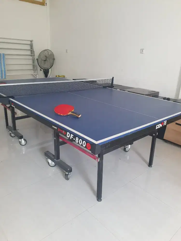 Tenis meja DF800