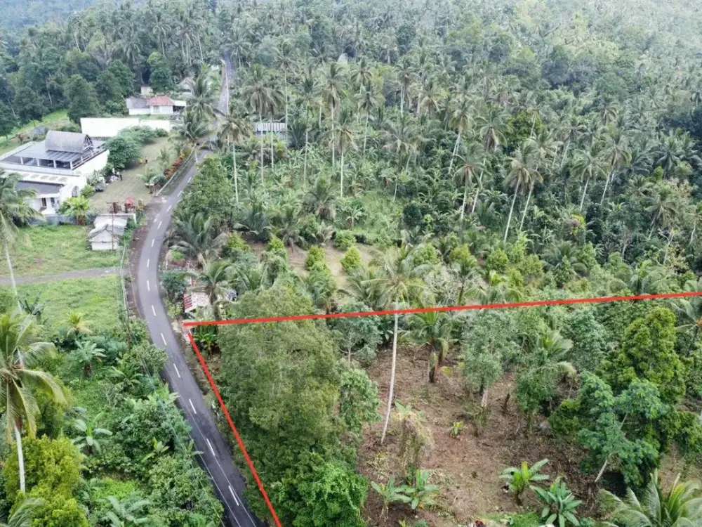 Tanah kebun di Gn Salak Selemadeg Timur Tabanan Dkt Eco Bali Stay Manca Restasurant