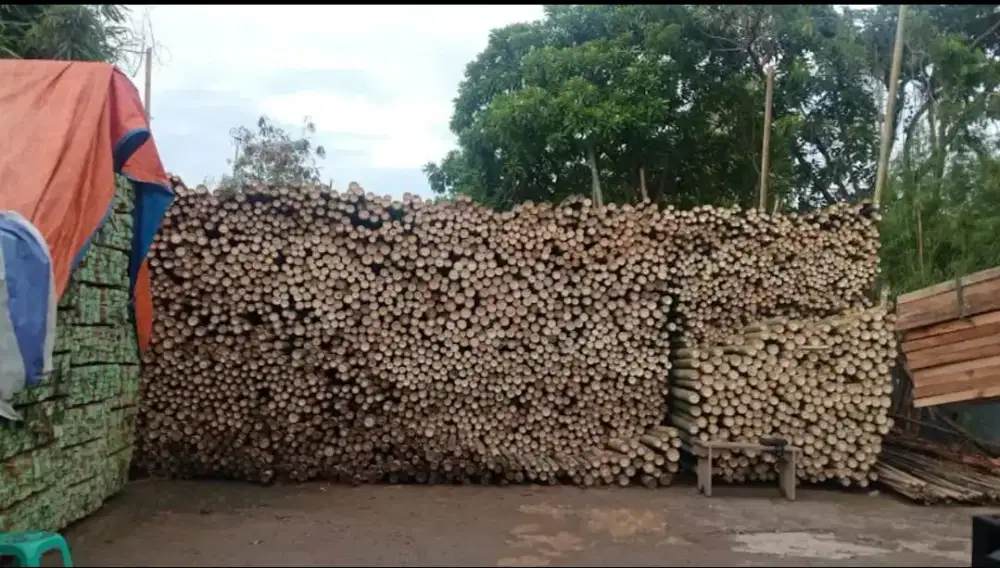 Jual kaso, bambu, triplek,balok dll