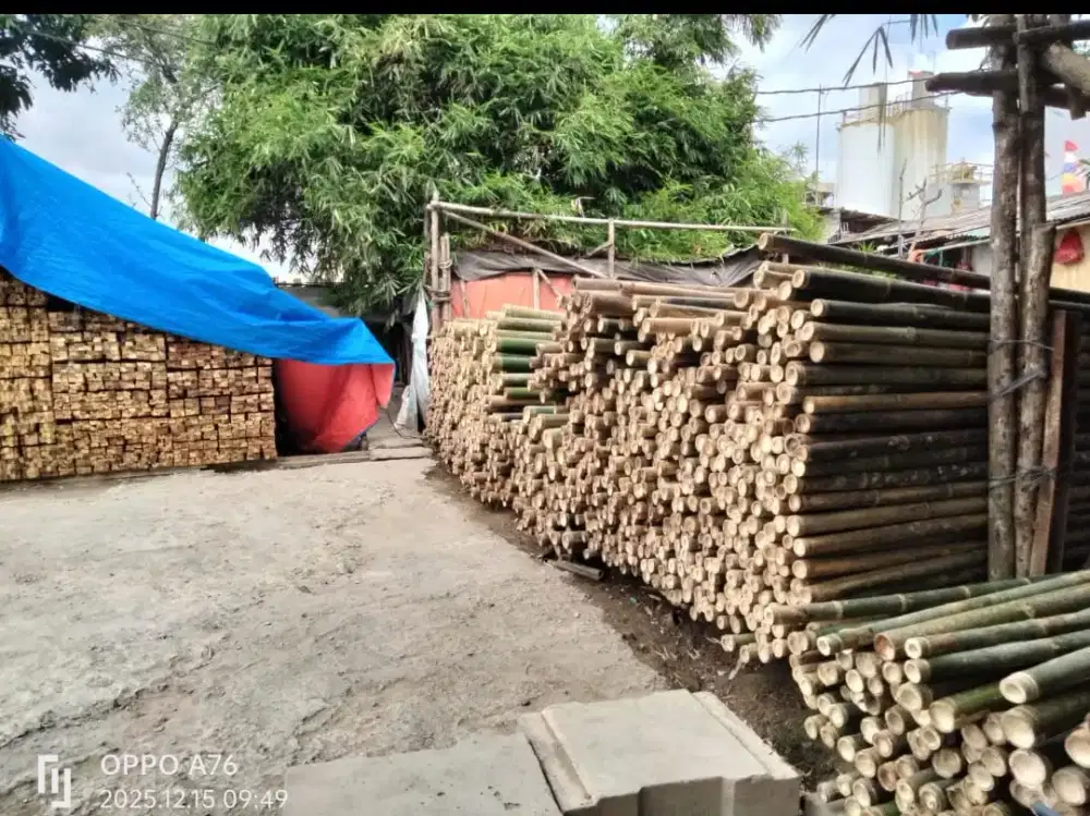 Jual bambu steger, kaso, triplek dll