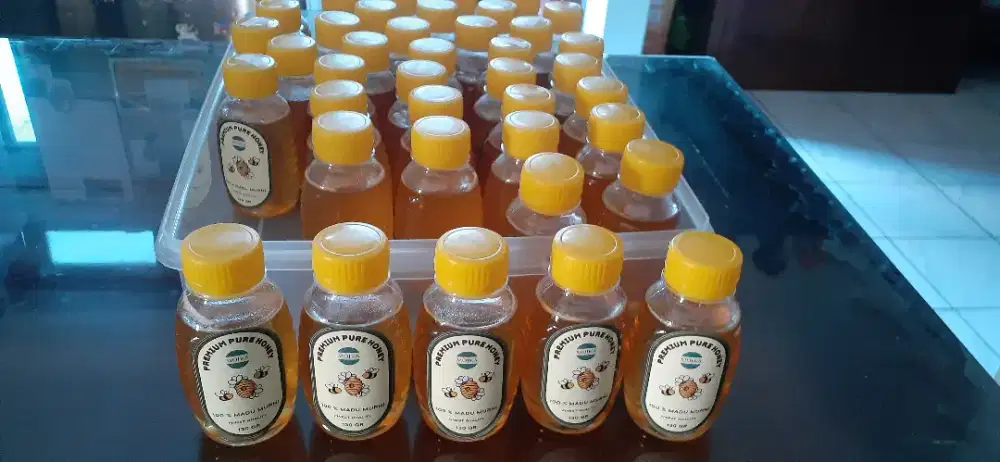 Madu Bunga Pohon Kayu Putih