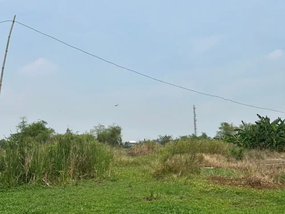 Dijual Cepat BU Tanah Murah Lokasi Strategis Dekat Jalan Raya Morowudi Gresik