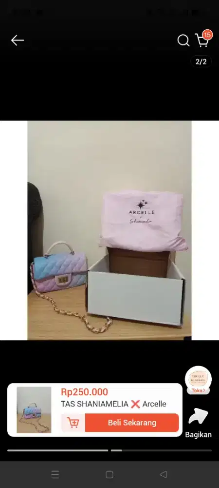 BAG OF ARCELLE X SHANIAMELIA