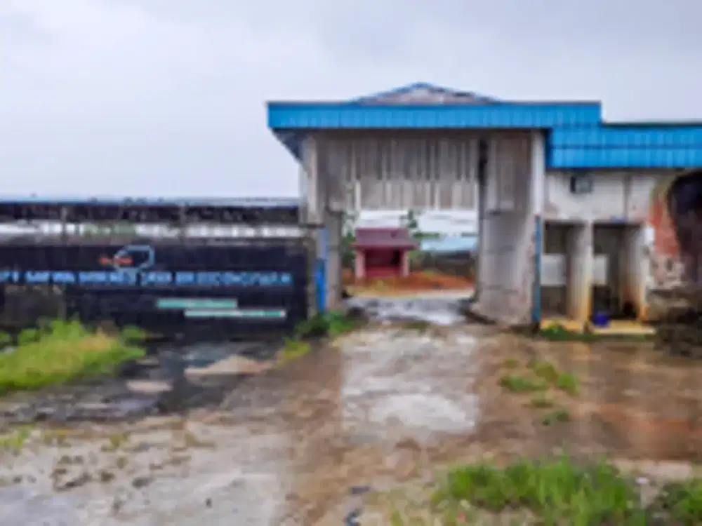 DIJUAL 8 BIDANG TANAH DENGAN TOTAL LUAS 129.456 M2 BERIKUT BANGUNAN - SINGKAWANG