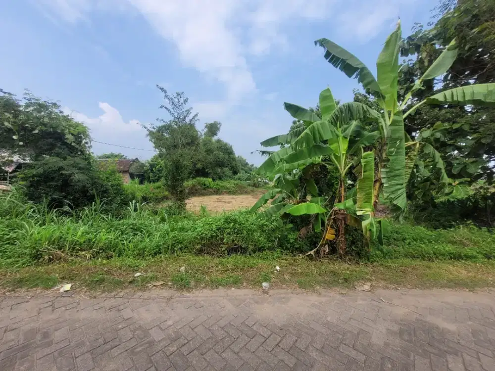 Tanah Strategis di Kawasan Mojokerto