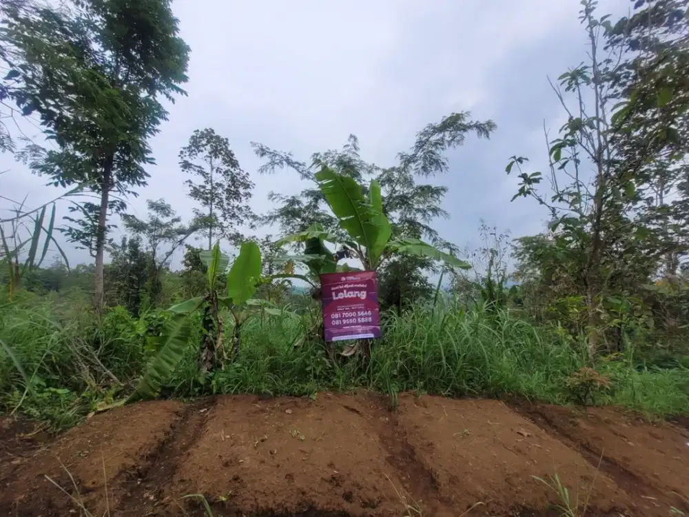 Tanah Strategis dan Murah di Kawasan Junrejo Malang dekat dengan Jatim Park 3