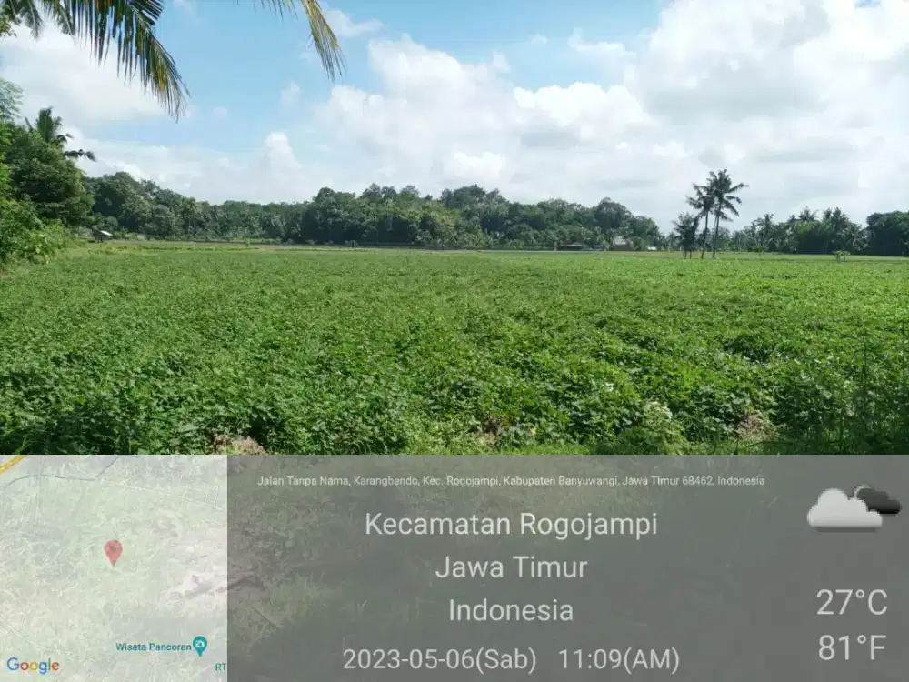 Dijual sawah secepatnya lokasi strategis & Harga sangat menarik