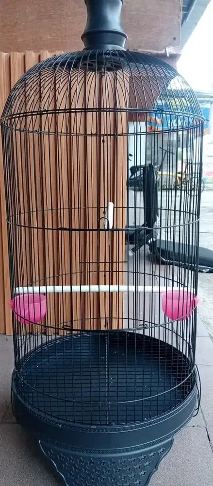 Sangkar burung kapsul mulus