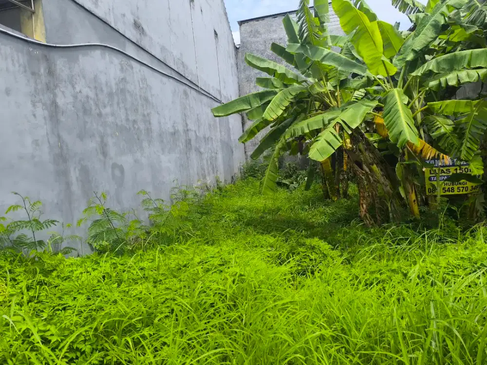 Pekarangan strategis cocok untuk hunian