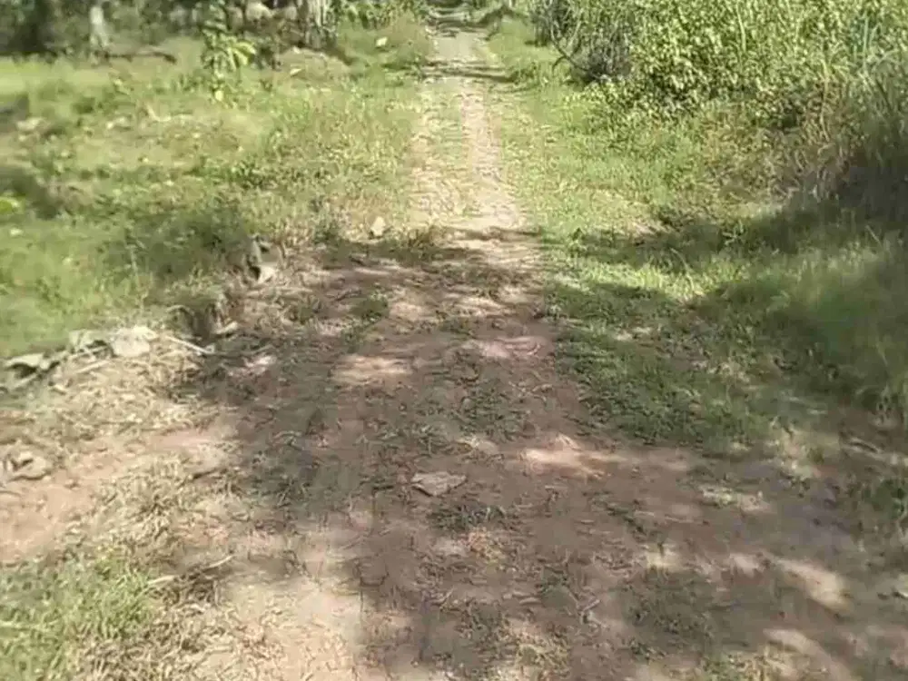 Pekarangan murah 1.362m² , hook muka utama +/- 40m Jalan makadam 5m, bendosari sukoharjo  :