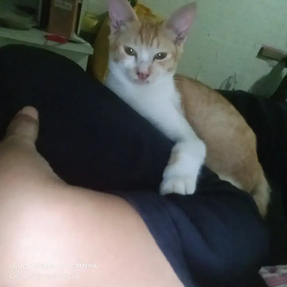 Mencari pekerjaan apa saja