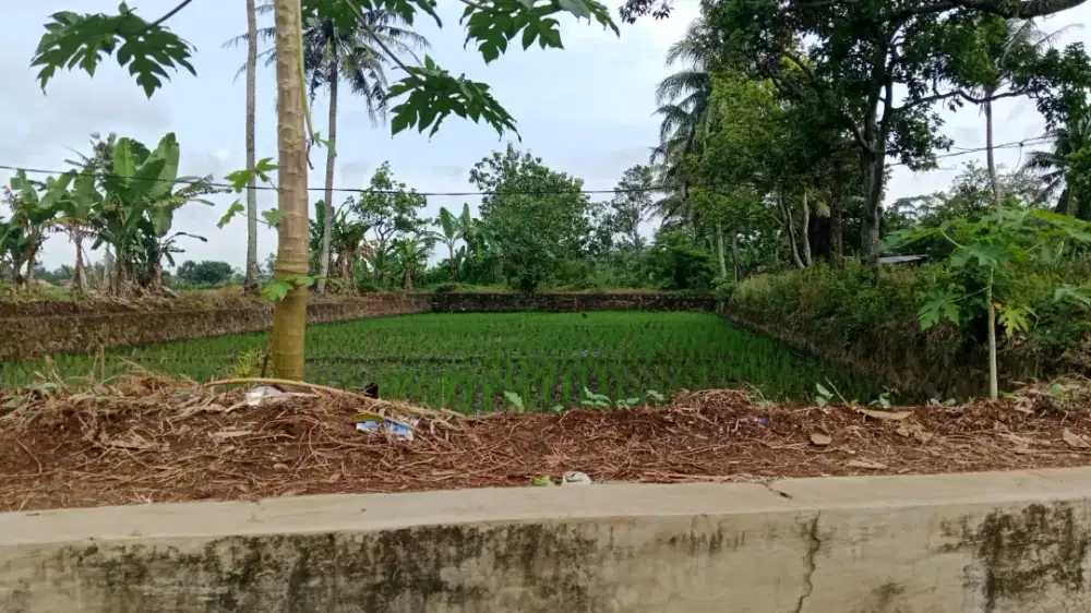 Dijual Tanah Berbentuk Kolam