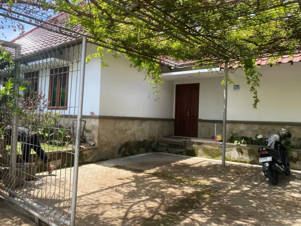 Rumah 1 Lantai Dengan taman Luas Lokasi Renon