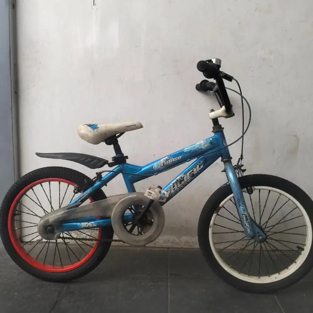 Sepeda Anak Pasific Viroso