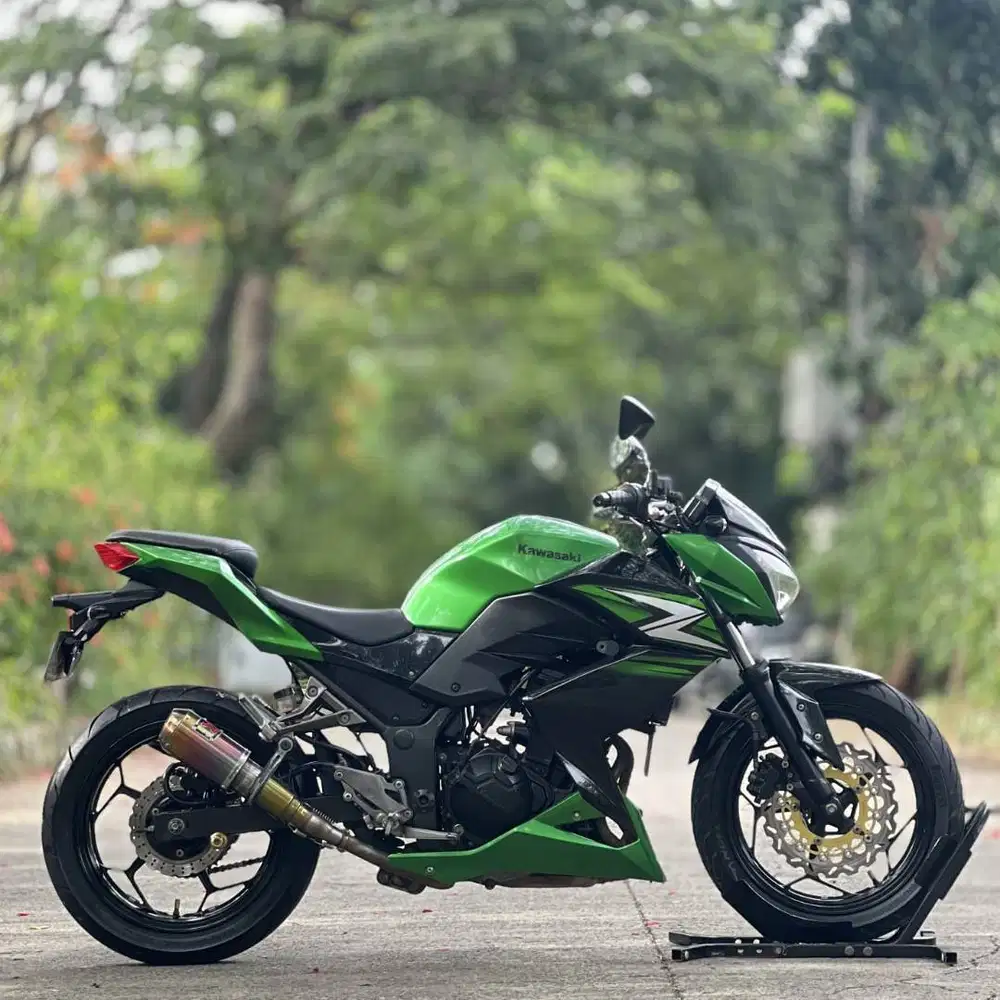 KAWASAKI Z250 FI 2014 HIJAU PAJAK PANJANG SUPER GRESS
