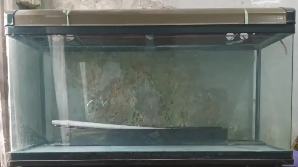 Jual Akuarium Legendaris Boyou