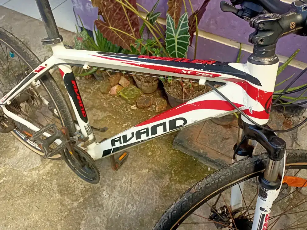Avand XC721 26inch