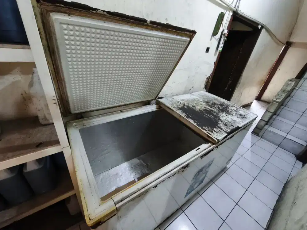 Jual freezer bekas 2 pintu