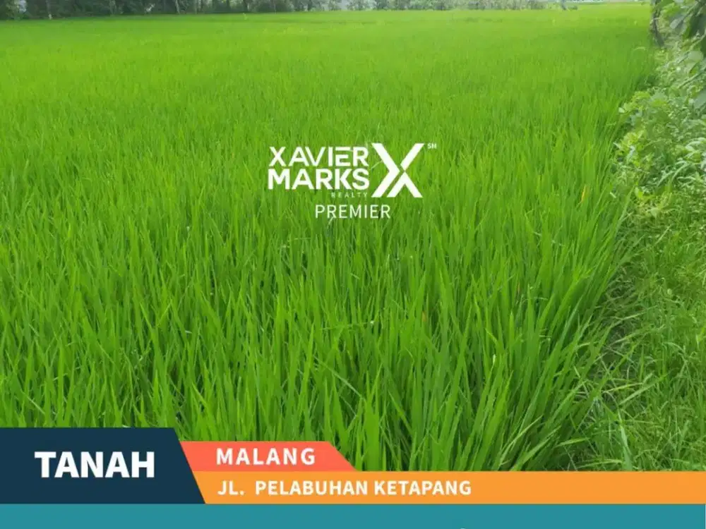 Tanah Luas Di Jalan Pelabuhan Ketapang Bakalankrajan Sukun Malang