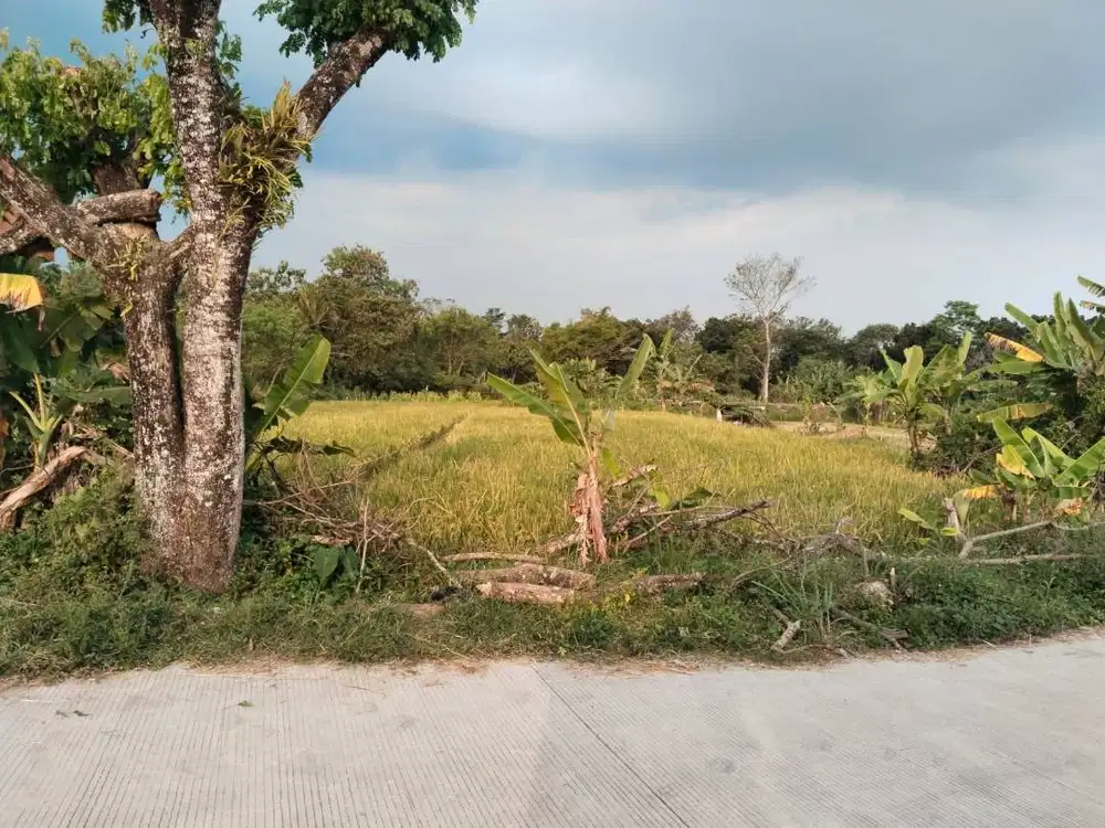 Di jual tanah SHM sebelah warna kopi Jl TentaraPelajar Palagan Km 12,5