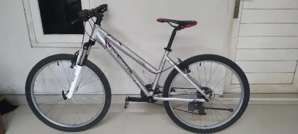 Polygon Premier 2 Lady