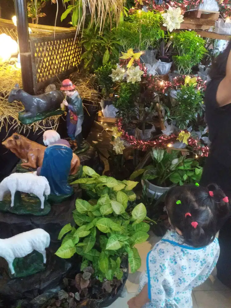 Momong Anak di Pakem Sleman