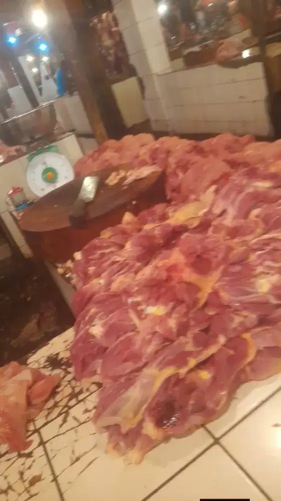 Ready ayam fillet , sayap dll