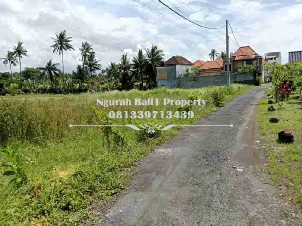 BUC Murah Disewakan Tanah Luas  14,76 Are View Sawah Kawasan Villa di Ubud